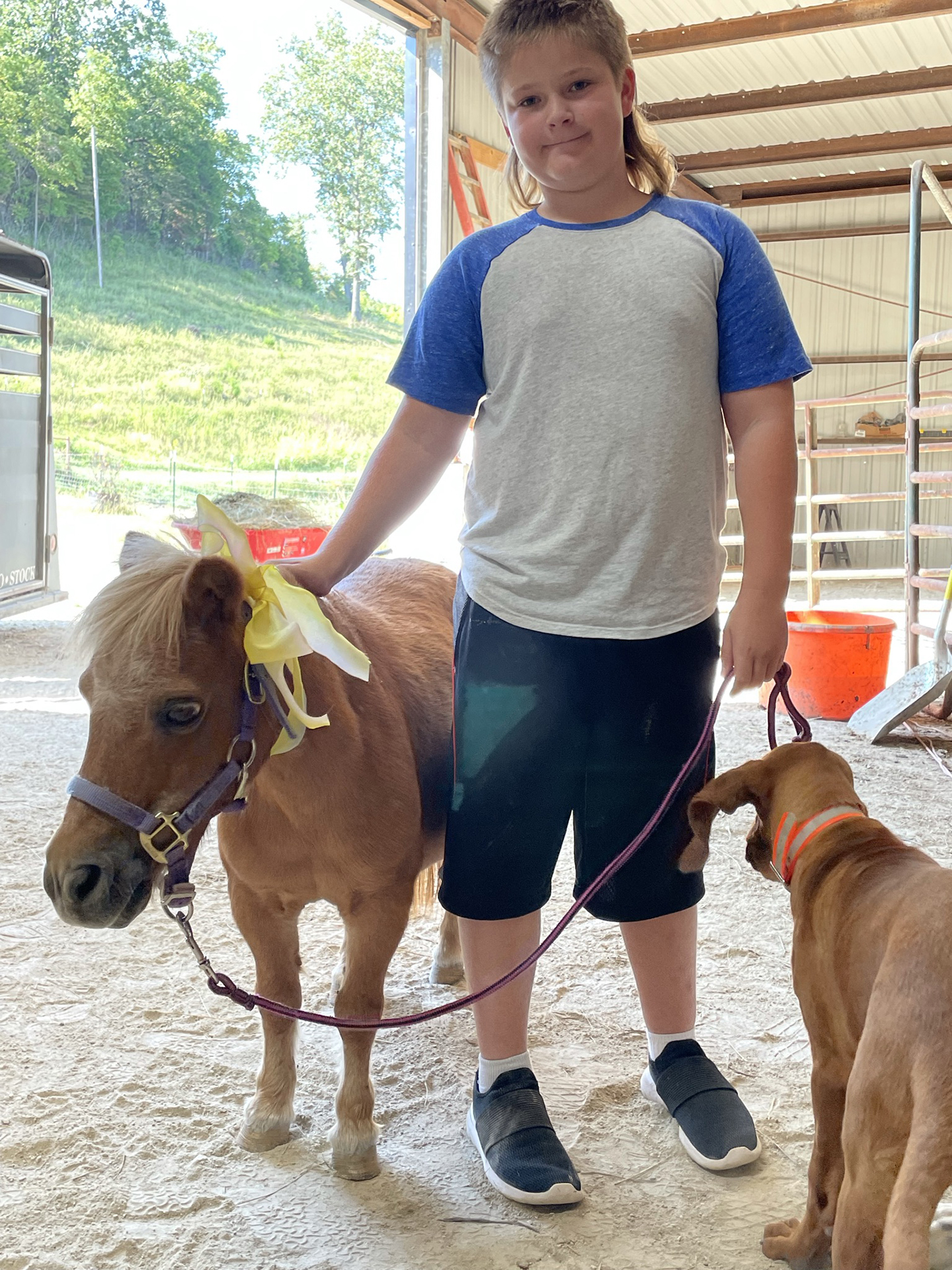 A young boy in a gray and blue shirt stands indoors, holding a small brown pony with a yellow ribbon on its head. A brown dog wearing an orange collar stands next to them. Sunlight shines in through an open door.