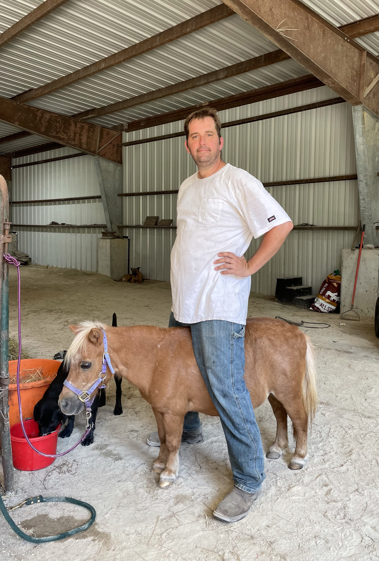 A man in a white t-shirt and jeans stands indoors in a barn, with one leg on each side of a small brown pony, as if riding it, while another black pony stands nearby.