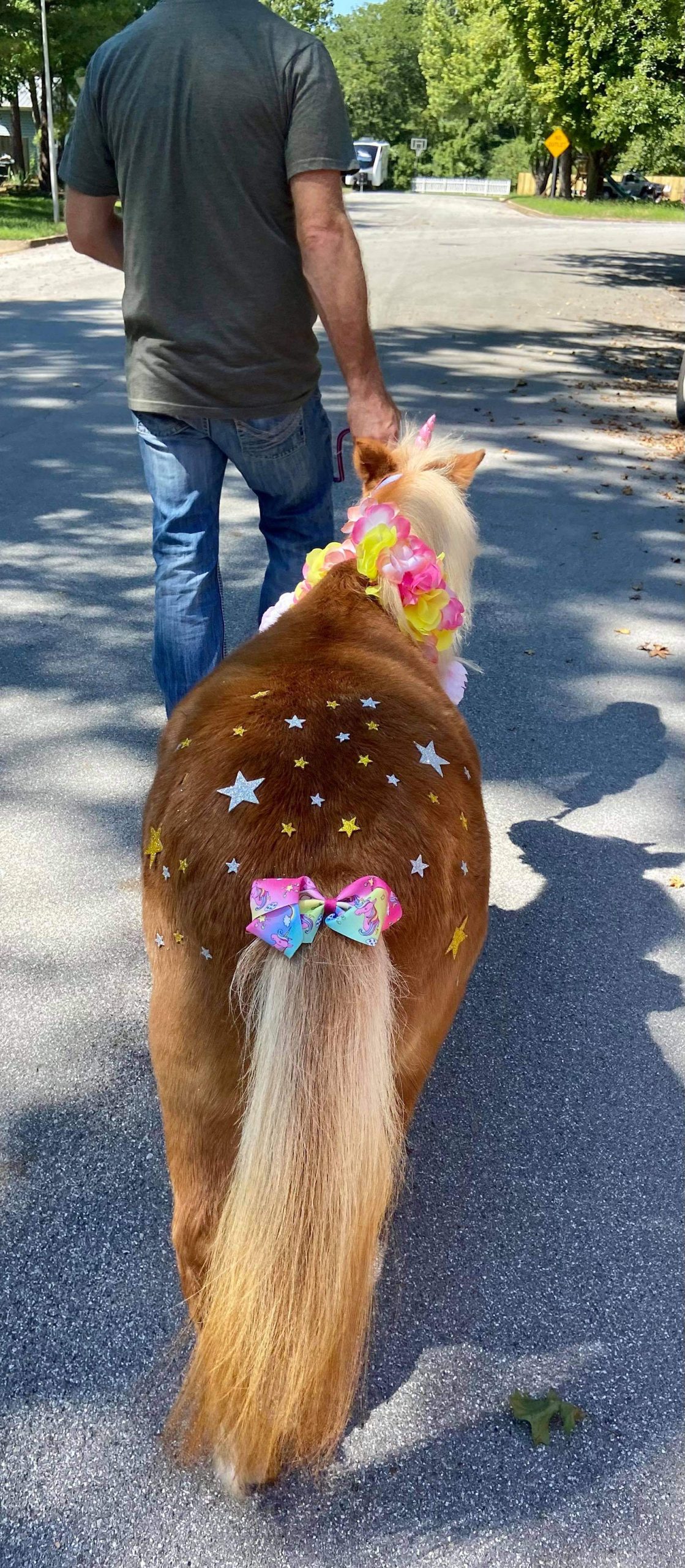 A person walks a small pony decorated with colorful bows and shiny star and heart stickers on its back and tail along a sunny street. The person wears jeans and a green shirt.