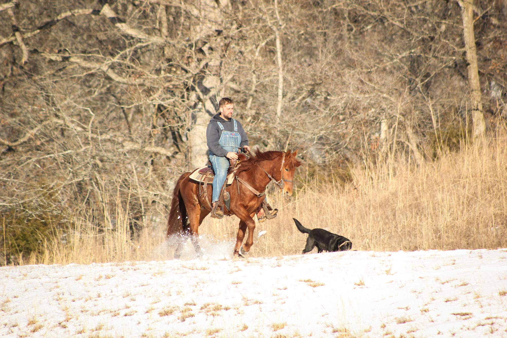 A man in a hooded jacket and overalls rides a brown horse through a snowy field, with a black dog running alongside them. Leafless trees and dry grass are visible in the background.