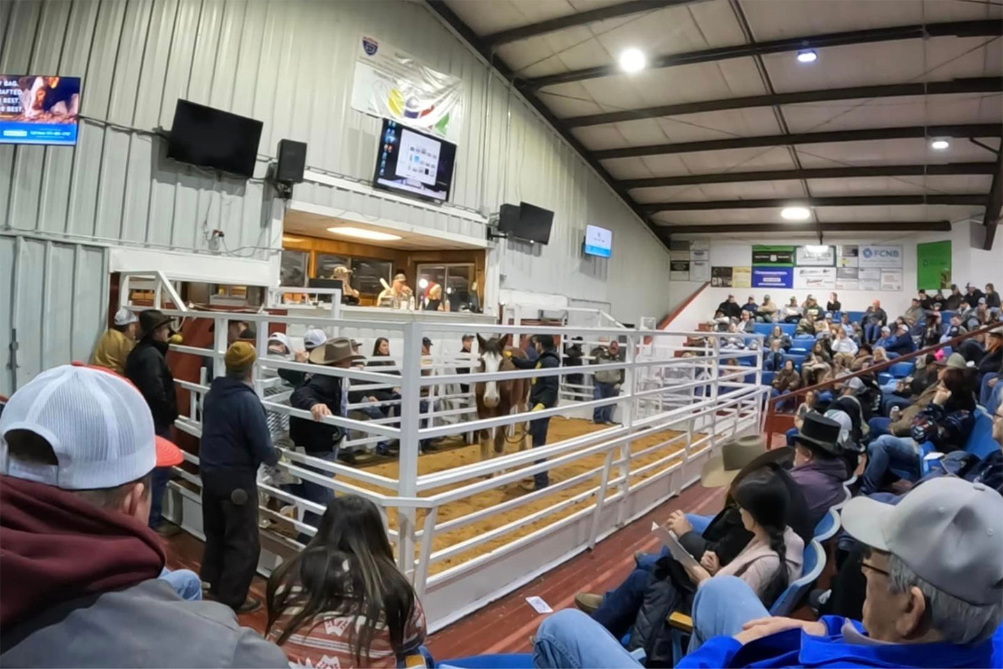 A livestock auction is in progress inside an arena. People are seated in bleachers, watching as auctioneers and handlers stand with a horse in a fenced ring under bright lights. TV screens display information above the ring.
