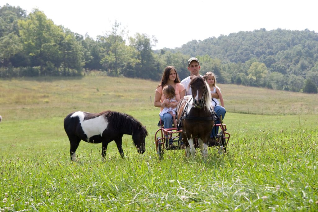 A family of four rides in a small horse-drawn carriage through a grassy field, while a black and white pony grazes nearby. Trees and hills are visible in the background under a clear sky.