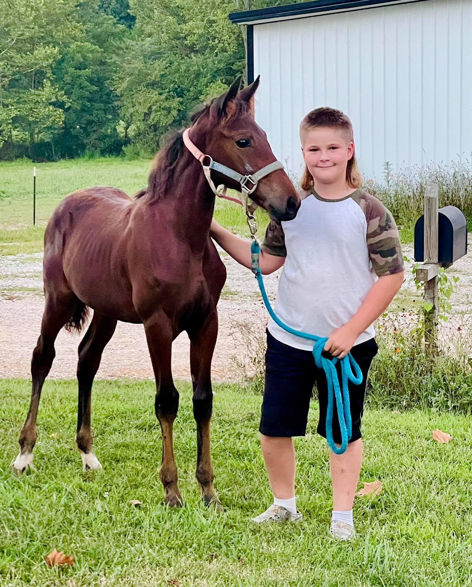 A smiling child wearing a gray and camo shirt and black shorts holds a blue lead rope attached to a young brown horse, standing together on green grass near a white building and trees.